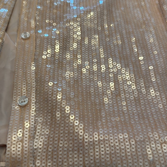 🟣 7 FOR ALL MANKIND PINK SEQUIN BUTTON DOWN BLOUSE SIZE SMALL - Picture 2 of 8